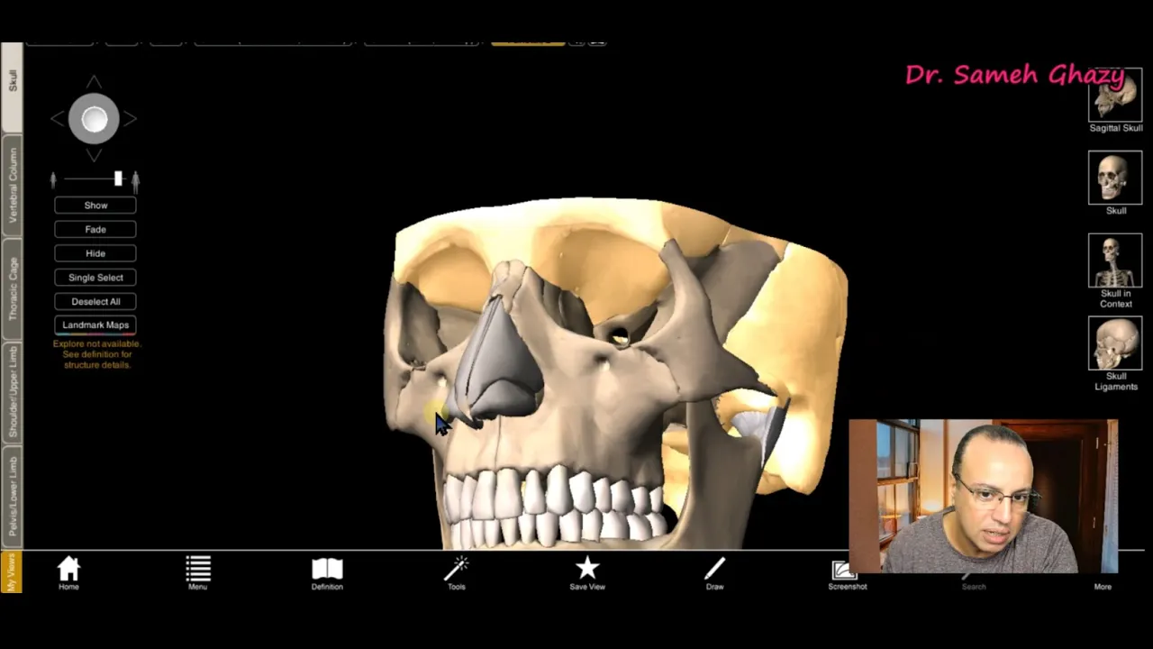 skull overview