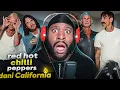 Red Hot Chili Peppers Dani California YOUTUBE
