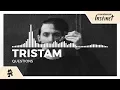 Download Lagu Tristam - Questions [Monstercat Release]