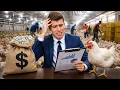 I Quit My Job and Raised 15 000 Chickens Here s What I Earned