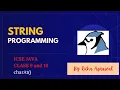 charAt function Java ICSE