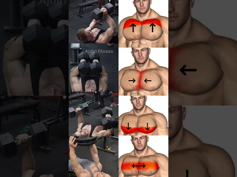 Top 4 Chest Exrcises Build a Bigger Chest #chest
