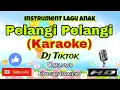 Download Lagu PELANGI PELANGI (KARAOKE) Versi DJ || Instrument Lagu Anak