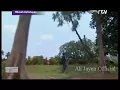 Download Lagu Revi Mariska \u0026 Temmy Rahadi - Mari Mari Kasih ( Ost. Kabut Kabut Cinta )