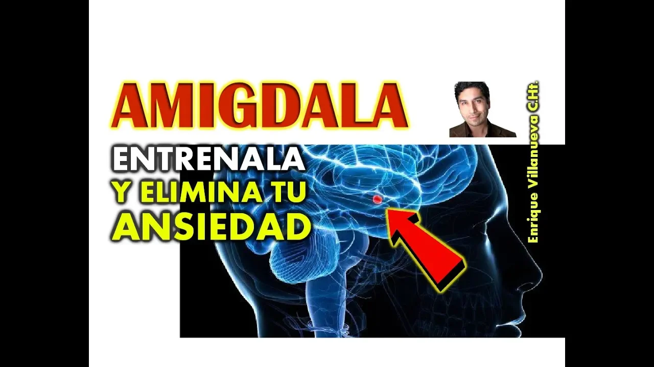 ANSIEDAD: ENTRENA TU AMIGDALA Y ELIMINA LA RESPUESTA ANSIOSA