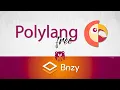 Polylang the FREE multilingual plugin for Brizy WordPress