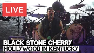 black stone cherry hollywood in kentucky live in hd sse wembley arena london 2014