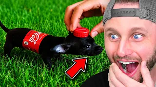 Try Not To Laugh 😂