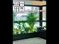 Download Lagu Turn the sealed window and balcony at home into a tropical forest garden #my balcony garden #plant
