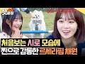 Download Lagu 견생 첫 어질리티 너무 잘해 (복복복🫳) 르세라핌 채원 찐으로 감동시킨 똑똑강쥐 시로🐾🔥｜집 나가면 개호강｜JTBC 250629 방송