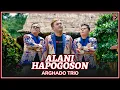 Download Lagu Arghado Trio - Alani Hapogoson (Official Music Video)
