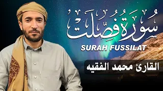 سورة فصلت كاملة  مكتوبة   للقارئ الشيخ محمد الفقيه   تلاوة خاشعة ومؤثرة   دندنها