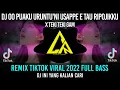 Download Lagu DJ Oo Puaku Uruntu' ni Usappe E Tau Ripojiki Remix Tiktok Viral 2022 Full Bass