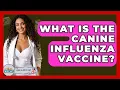 What Is The Canine Influenza Vaccine - Ask A Pet Vet