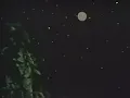 if moon was cookie