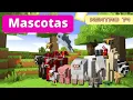 Kentro4 - Tutorial Mascotas