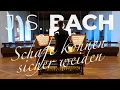 Download Lagu J. S. BACH - Schafe können sicher weiden, BWV 208