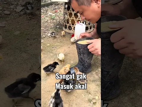 Cangkul Bercabang Sampai Kipas Manual, Kreatif Banget! 😂