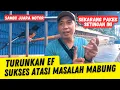 Lagu Atasi Masalah Mabung Murai Sambo ‼️ Hingga Kembali Juara di Dragon SF Anniv 9th