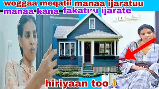 Woggaa Saditii Hiriyaan Too Manaa Kan Fakatuu Ijaratee Shamaraan Tenyaa Biyaa Araba Kan Bekuu Qabdu 