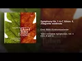 Symphony No. 1 in C Minor: II. Allegretto moderato