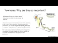 Chapter 5 The Mitotic Cell Cycle