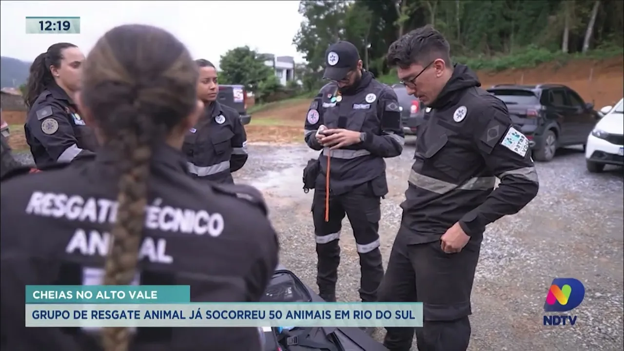 Alto Vale: grupo de resgate animal já socorreu 50 animais em Rio do Sul