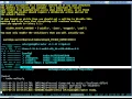 Basic Python Celery execution