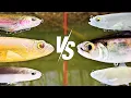 I Didn t Expect This SWIMBAIT To Be The BEST On The Market