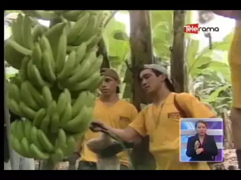 Brexit no afectará el acuerdo comercial entre la UE y Ecuador