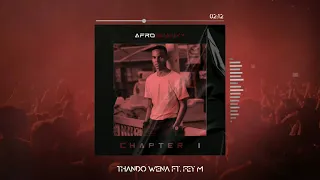 afro swanky thando wena visualizer ft fey m