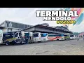 Download Lagu LASKAR PELANGI, PENGUASA JALUR NGAPAK🔥‼️ Hunting Bus Di Terminal MENDOLO WONOSOBO