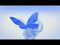 Download Lagu Top 5 Intro Water Template full HD 1080p No text - Free Download (NO Copyright)