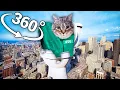 Download Lagu U II A IO UI A I O CAT x Mingle Game Song - City in 360° Video | VR / 8K | ( Squid Game )