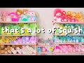 my 300 squishmallow collection TOUR and organization satisfying