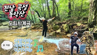 전남곡성“동악산” 7~8월 산행지&계곡추천!|도림사계곡|계곡물놀이추천!|좋은자리추천영상|산행후알탕~!여기서 즐겨요!|#꼬막선비 썸네일