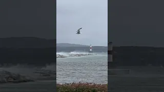 Fall Wind and 🌊