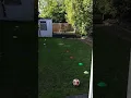 Daniel Leech F1 football warm up