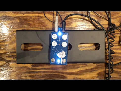 Dandelion tremolo 2024