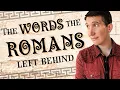 The Latin words you don t know you re using
