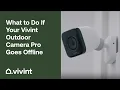 What to Do If Your Vivint Outdoor Camera Pro Goes Offline Vivint Tips Tricks