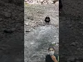 Download Lagu Ternyata ini penampakan hulu sungai