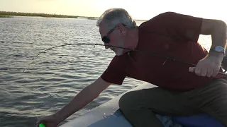 Trout Catch for Thanksgiving Dinner 2020 – #SHORTS