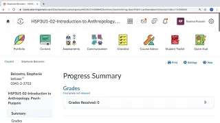 How to check Student Log in Information in Brightspace D2L