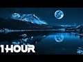 Download Lagu Egzod \u0026 Maestro Chives - Royalty (ft. Neoni) [NCS Release] [1 HOUR]