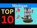 Top 10 Feeder Birds of Michigan Brief