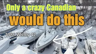 Finding a sailboat to sail around the world on. Whitby 42 1986.