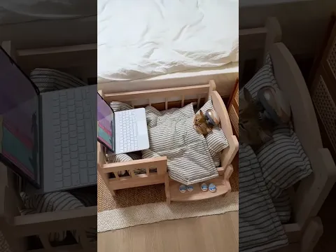 Cat Massage in Bed!