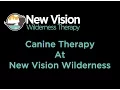 Canine Therapy at New Vision Wilderness Therapy