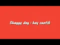 Shaggy dog = Hey Cantik ( Lirik )